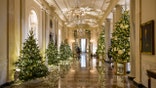WASHINGTON, UNITED STATES- NOVEMBER 28: Christmas decorations are seen in the entrance and cross hall of the White House as part of First Lady Dr. Jill Bidenâs âWe the Peopleâ decorative theme in Washington, DC on November 28th, 2022.