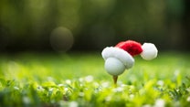 10 Christmas gifts for the golfer in your family - Fox News