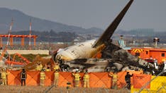 Aviation expert casts doubt on bird strike theory in deadly South Korean plane crash: 'Doesn't make sense'