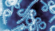 Deadly outbreak of Marburg, or ‘bleeding eye virus,’ leads to travel advisory