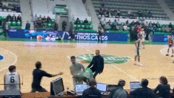 Pro-Palestinian activists storm basketball court during Israeli team’s game against France - Fox News