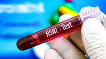 Bird flu patient had virus mutations, sparking concern about human spread - Fox News