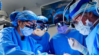 Woman receives pig kidney transplant, walks out of hospital days later: ‘Second chance' - Fox News