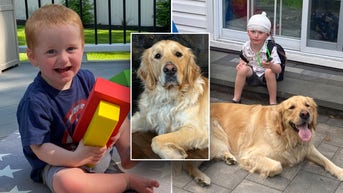 Service dog helps boy with rare genetic disorder achieve ‘unbelievable’ progress - Fox News