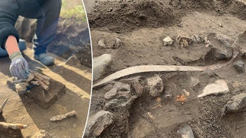 Archaeologists in Denmark discover over 100 weapons from the Iron Age during excavations