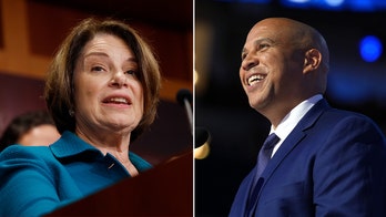 Senate Democrats name top leadership positions after losing chamber majority