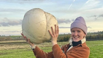 WOMAN’S Shocking Mushroom Find Feeds Family For A Week