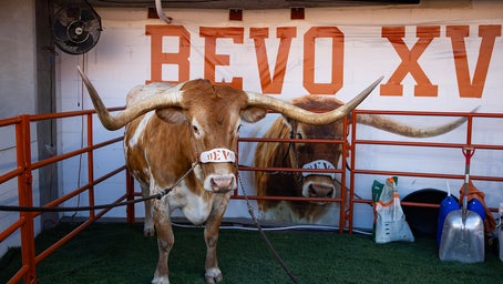 Texas football mascot Bevo barred from sidelines of upcoming CFP game, organizers say