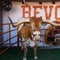 Texas football mascot Bevo barred from sidelines of upcoming CFP game, organizers say