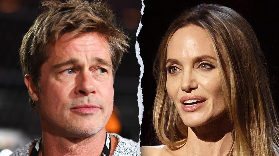 Brad Pitt y Angelina Jolie se disputan un viñedo francés