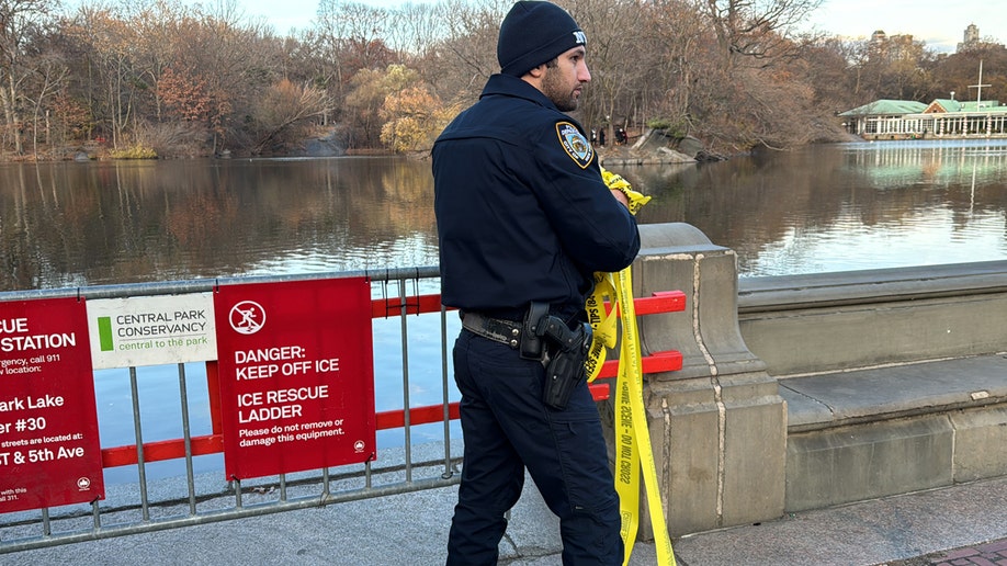 A group of NYPD officers are seen near Bethesda Fountain on Saturday, Dec. 7 around 3 p.m.