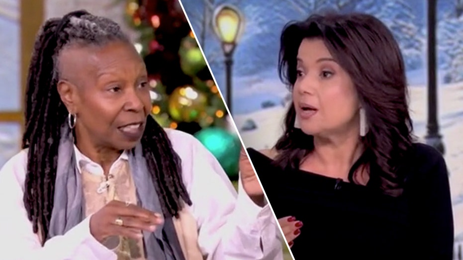 'The View' co-hosts get into heated back-and-forth over whether they should panic over Trump's plans