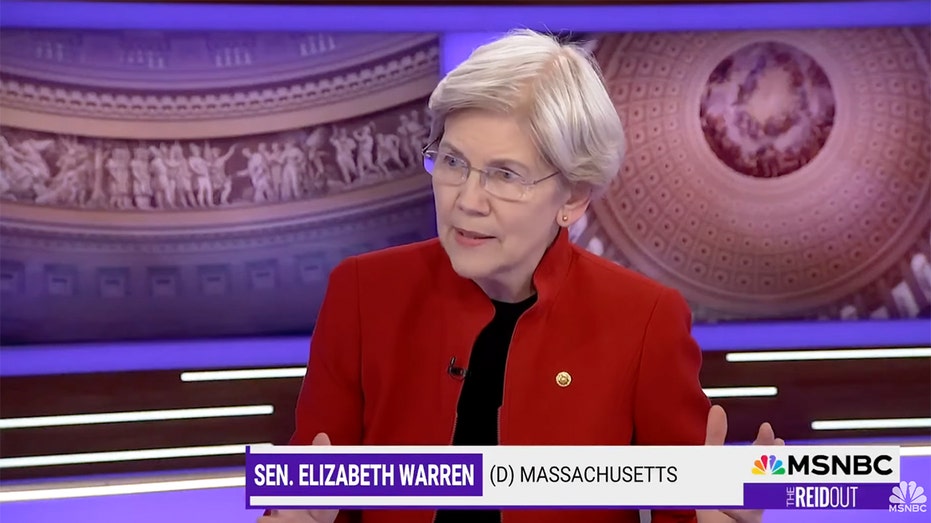 Elizabeth Warren says killing of UnitedHealthcare CEO was a warning: 'You can only push people so far'