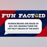 Human brains are made of 60% fat, making it the fattiest organ of the body