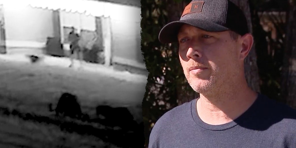 Florida man attacked by bear cub and bitten on stomach while defending dog says he couldn't 'watch her die'