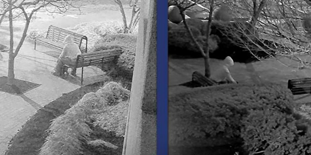 FBI releases video showing January 2021 pipe bomb suspect planting device outside DNC, RNC offices in DC