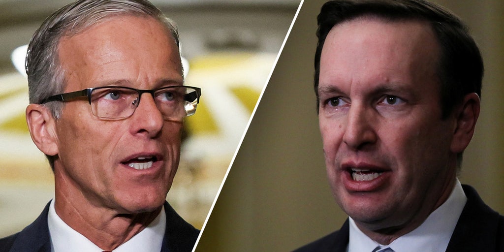 Dem who called Trump 'existential threat to democracy' now blocking his nominees