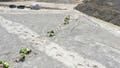 Workers gather around five extensive trackways that formed part of a &ldquo;dinosaur highway&rdquo; at Dewars Farm Quarry in Oxfordshire, England. - Fox News