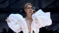 Man with Celine Dion's rare disease warns her comeback could be dangerous - Fox News