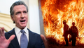 Governor Gavin Newsom, left, and LA wildfires right - Fox News