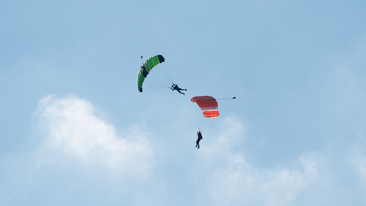 Skydivers in the sky