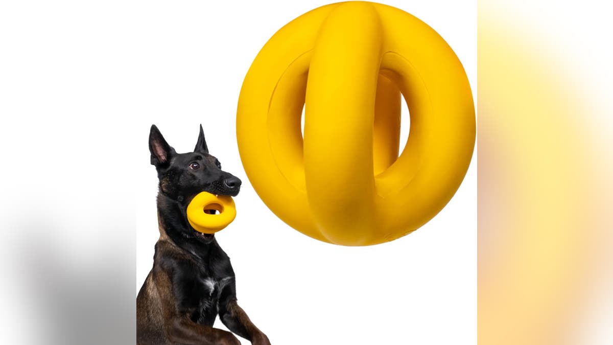 A fun toy to play tug with. 