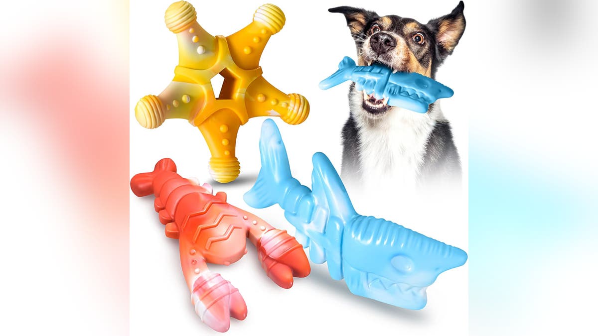 A three-pack of cute, durable toys. 