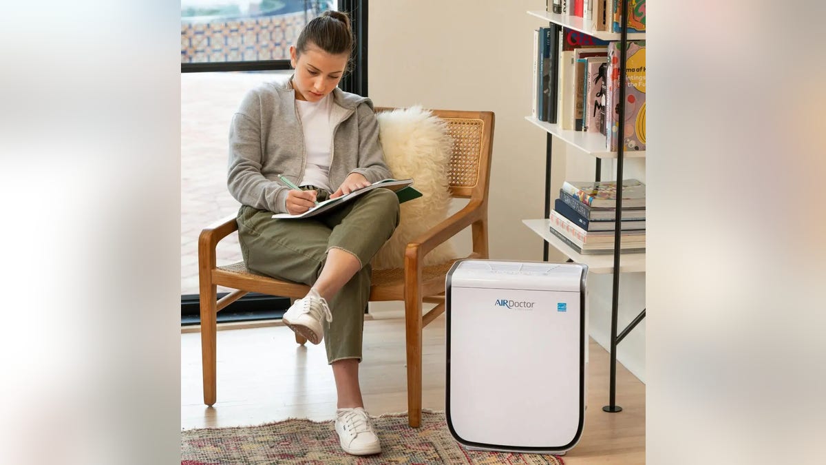 Improve your indoor air quality by removing allergens like dust, pollen, pet dander, and other airborne particles with an air purifier.