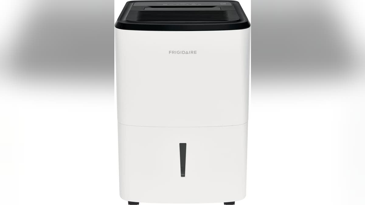 A great way to tackle musty or mildewed environments is with a dehumidifier.