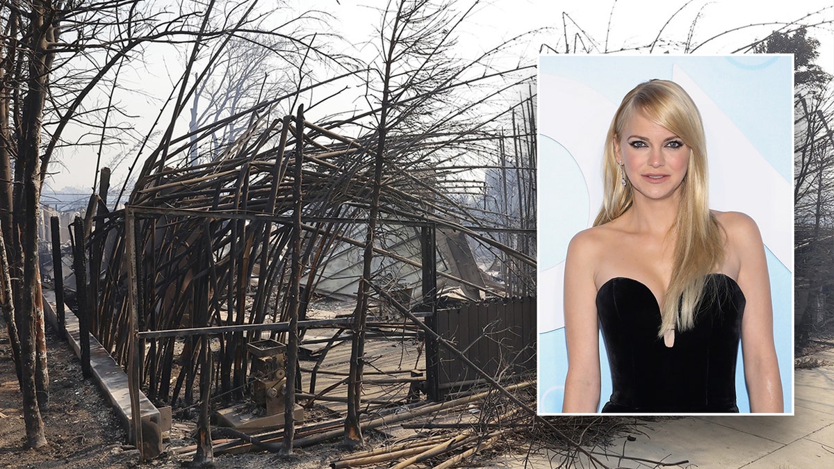 A photo of charred trees and the outline of a structure - Anna Faris' burnt home inset a photo of Anna Faris in a black plunging strapless dress