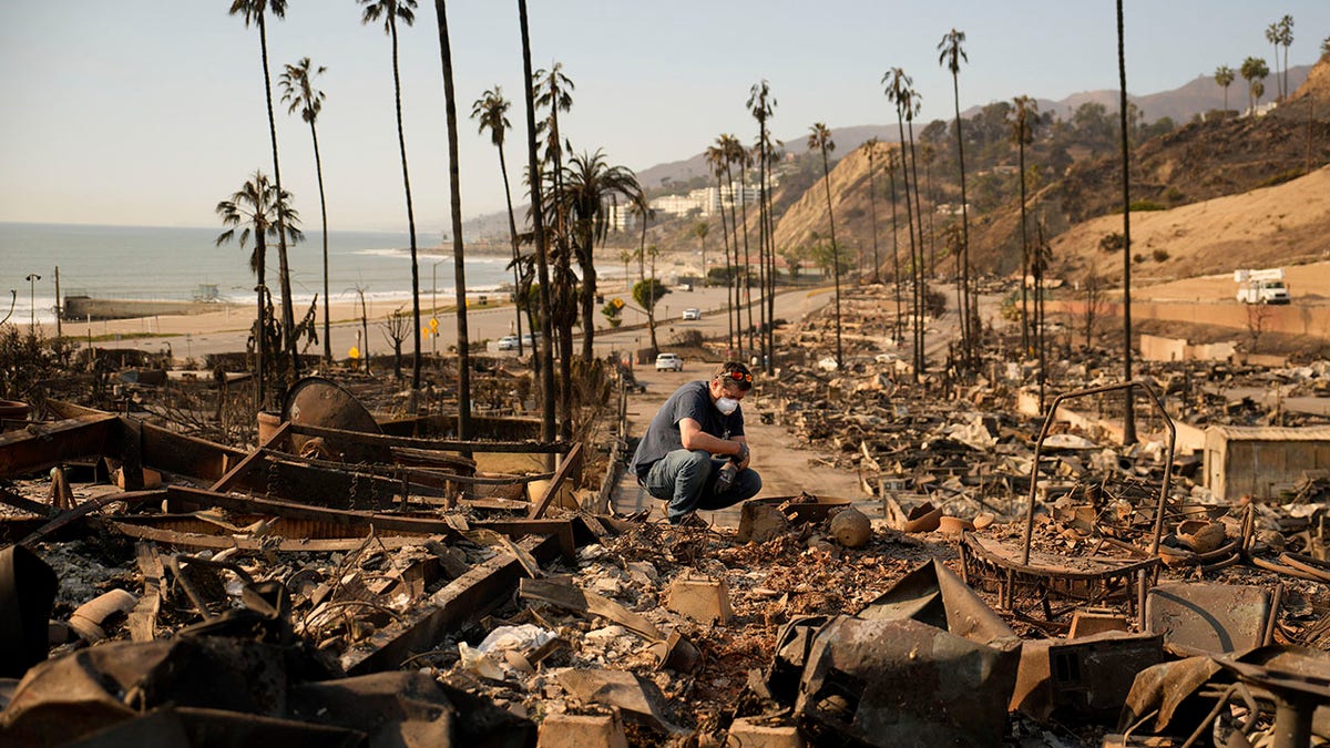 Palisades damage