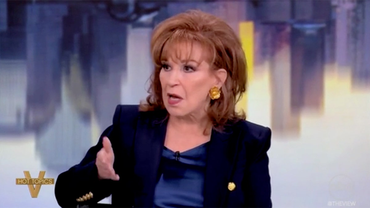 Joy Behar on The View