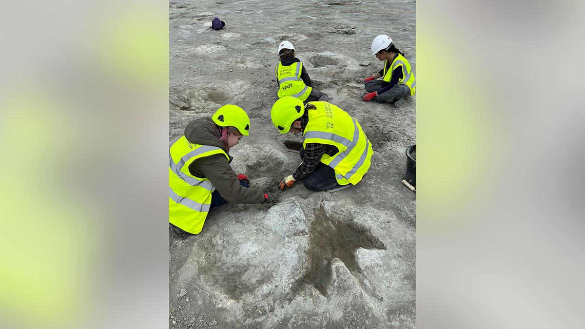 Workers in fluorescent, yellow vests and helmets carefully study dinosaur footprints.