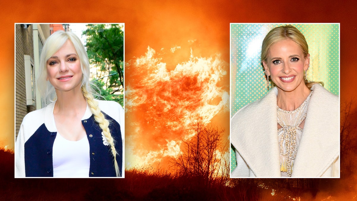 Inset photos of Anna Faris and Sarah Michelle Gellar over a photo of the Los Angeles fires