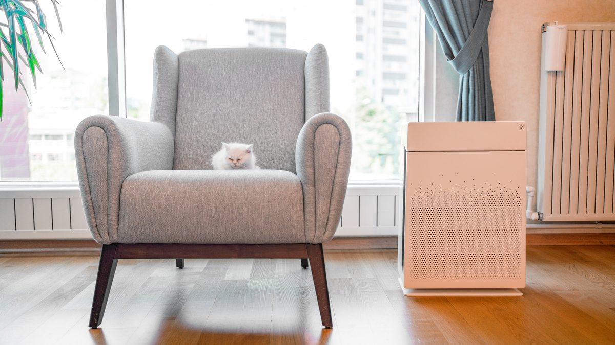 An air purifier can help improve your indoor air quality.