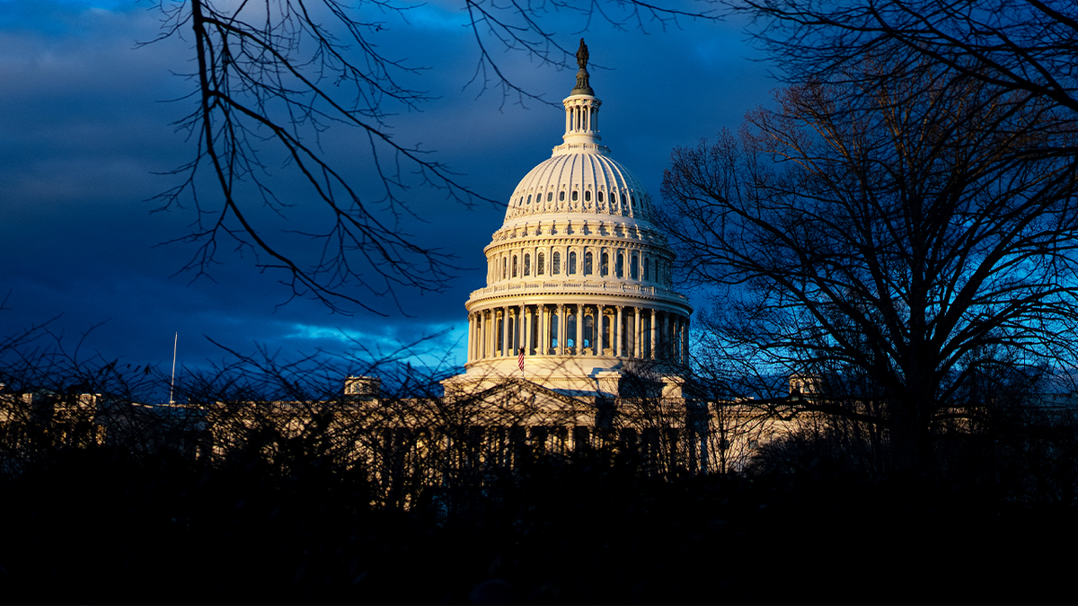 The 119th Congress of the Capitol Dome