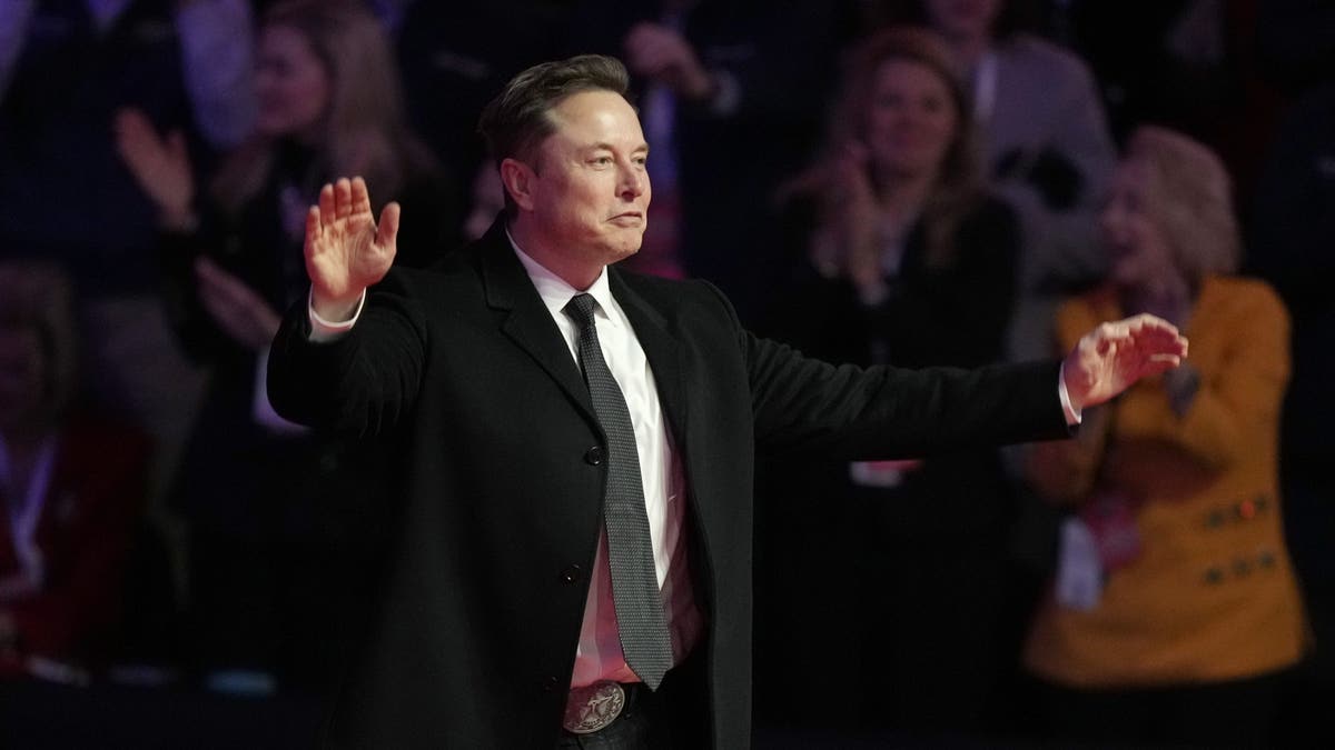 Elon Musk at a rally ahead of the 60th Presidential Inauguration