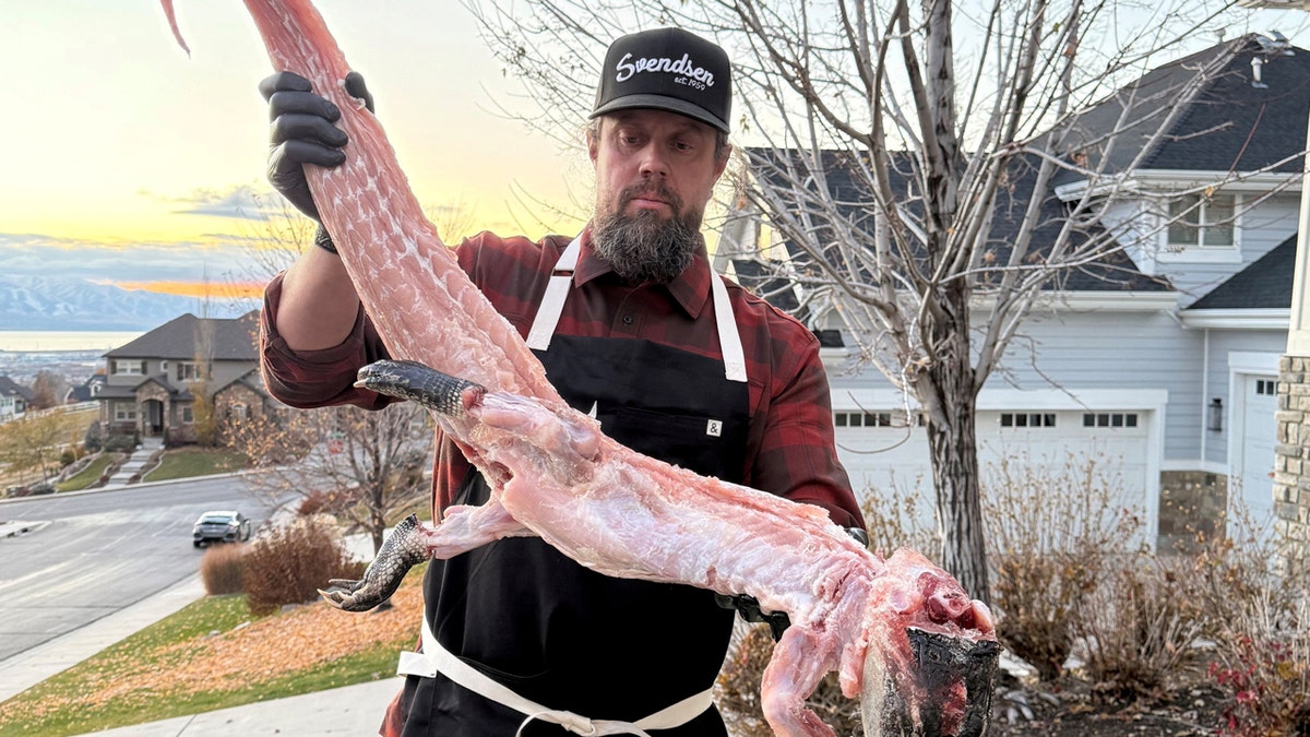 Erik Svendsen holds a dead alligator that he recently barbecued.