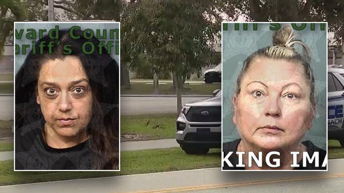 Booking photos of Florida principal and teacher