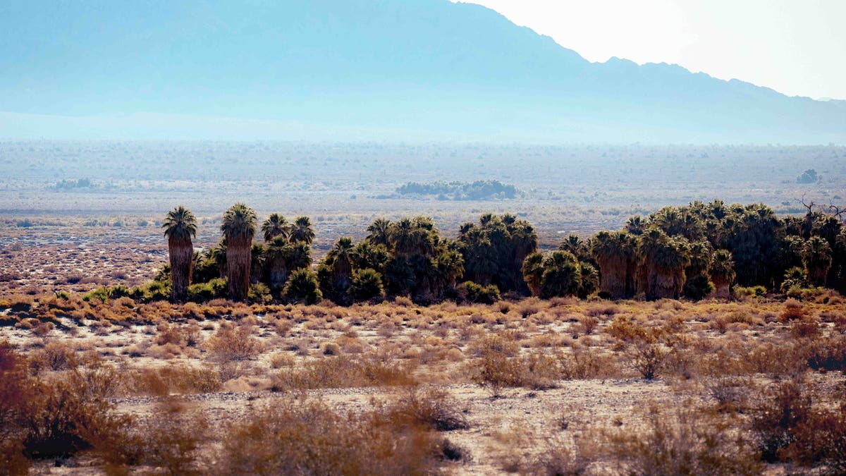 Valle de Chuckwalla