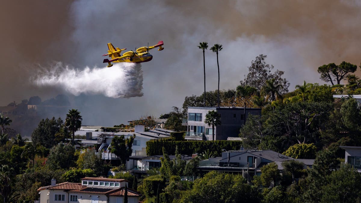 the plane drops water on the palisades fire