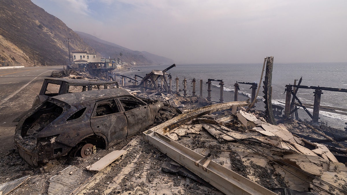 Los Angeles wildfires