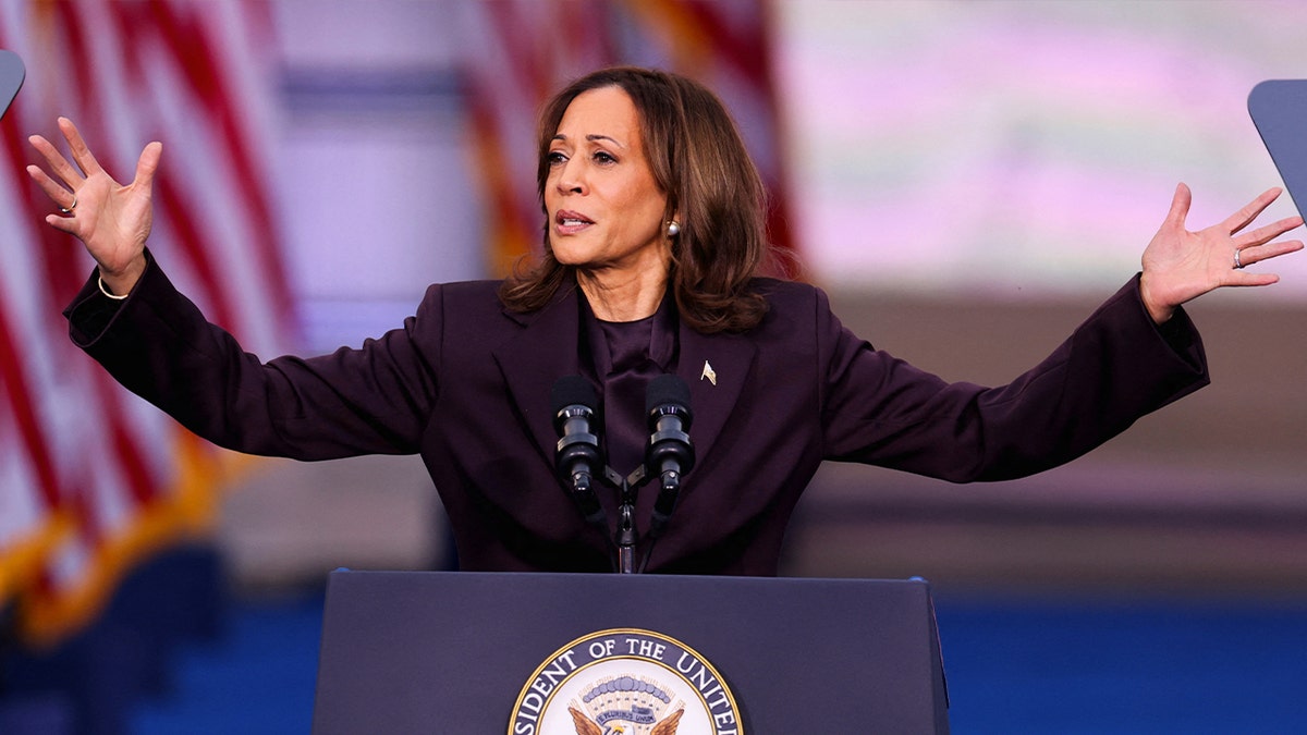 Then-Vice President Kamala Harris delivers remarks conceding the presidential election at Howard University in Washington on Nov. 6, 2024.