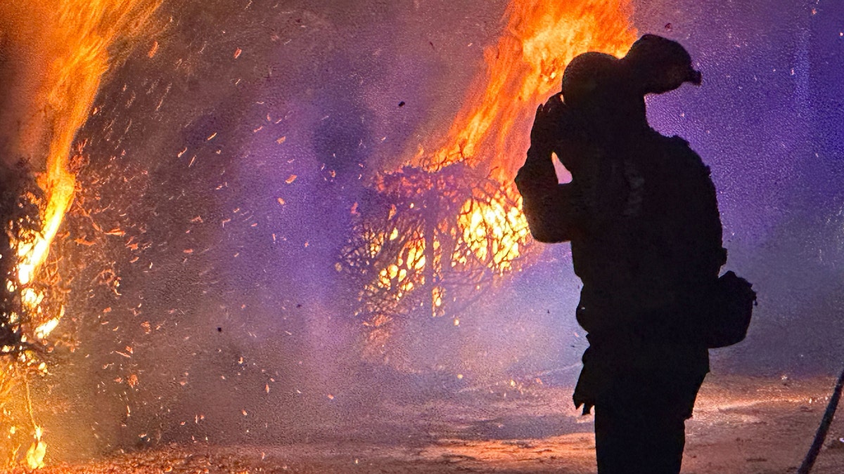 Fire in the Hollywood Hills