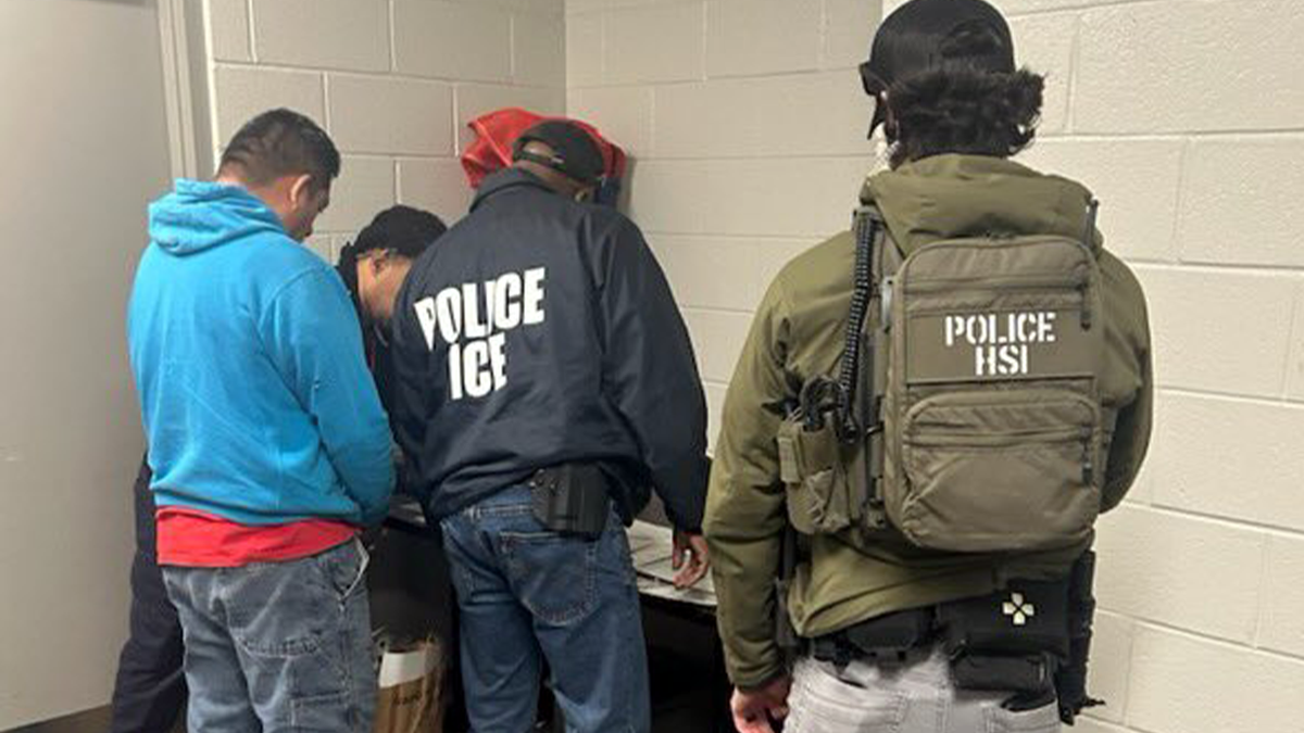 Ice official arrested AMN