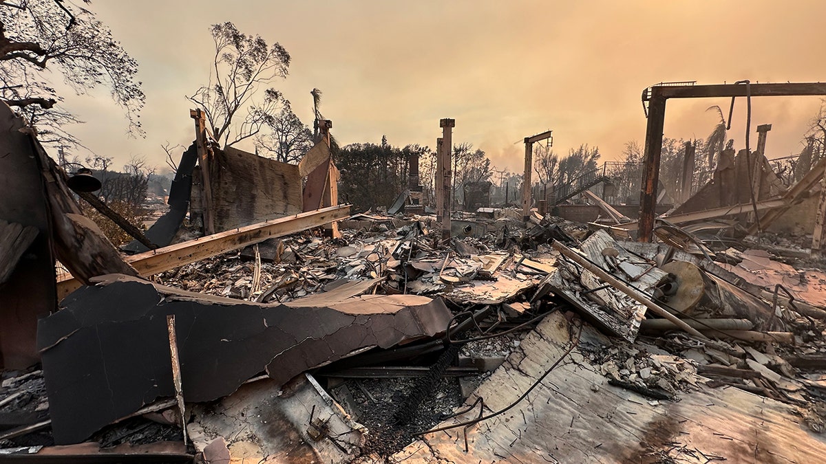 Los Angeles wildfires