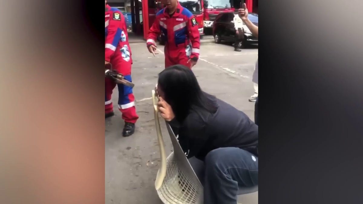 Woman stuck to chair by nose ring