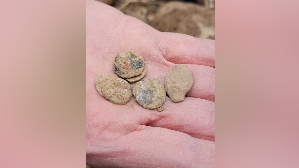 Hand holding ancient coins