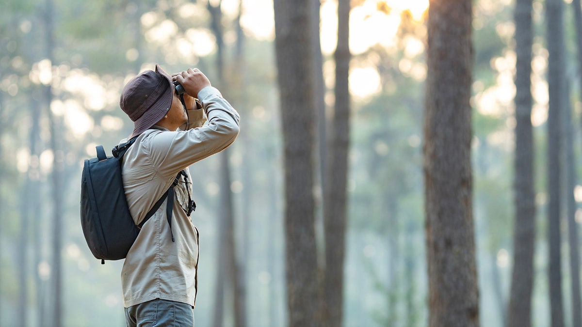 Easily identify any bird your come across with the help of these items. 