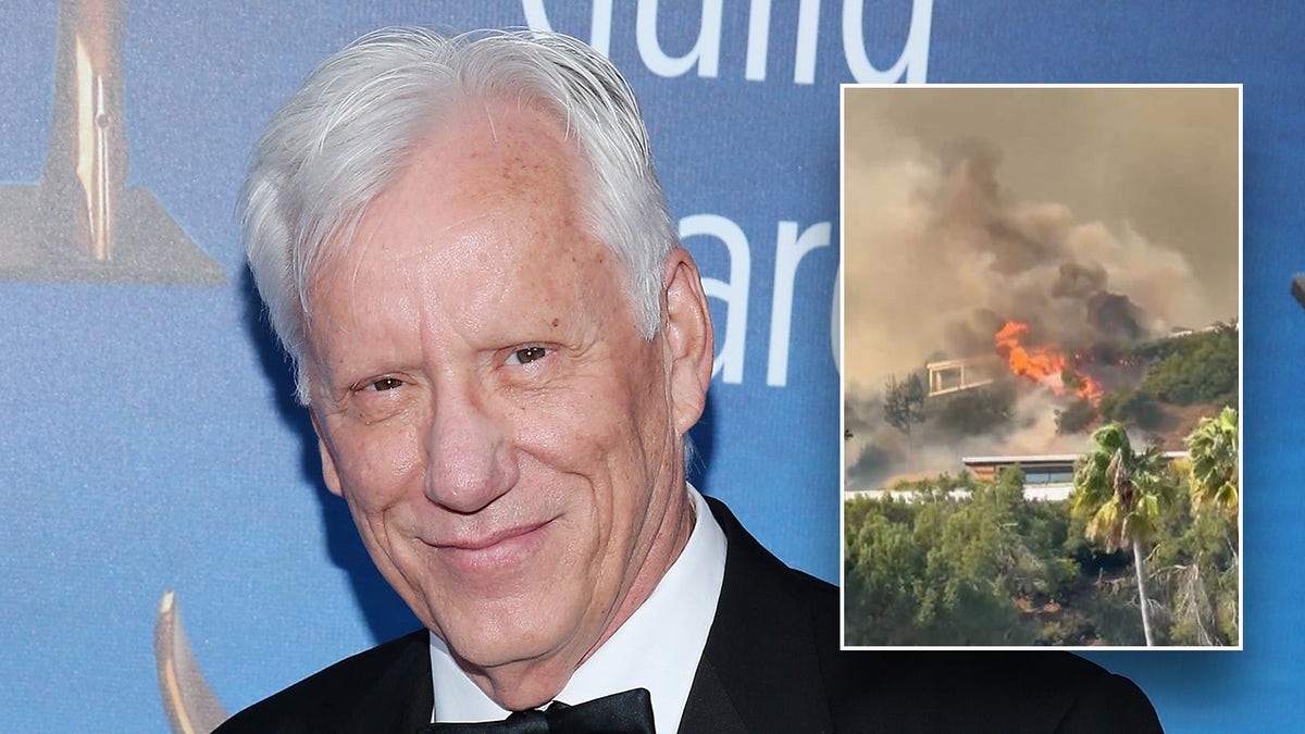 James Woods wears a black suit